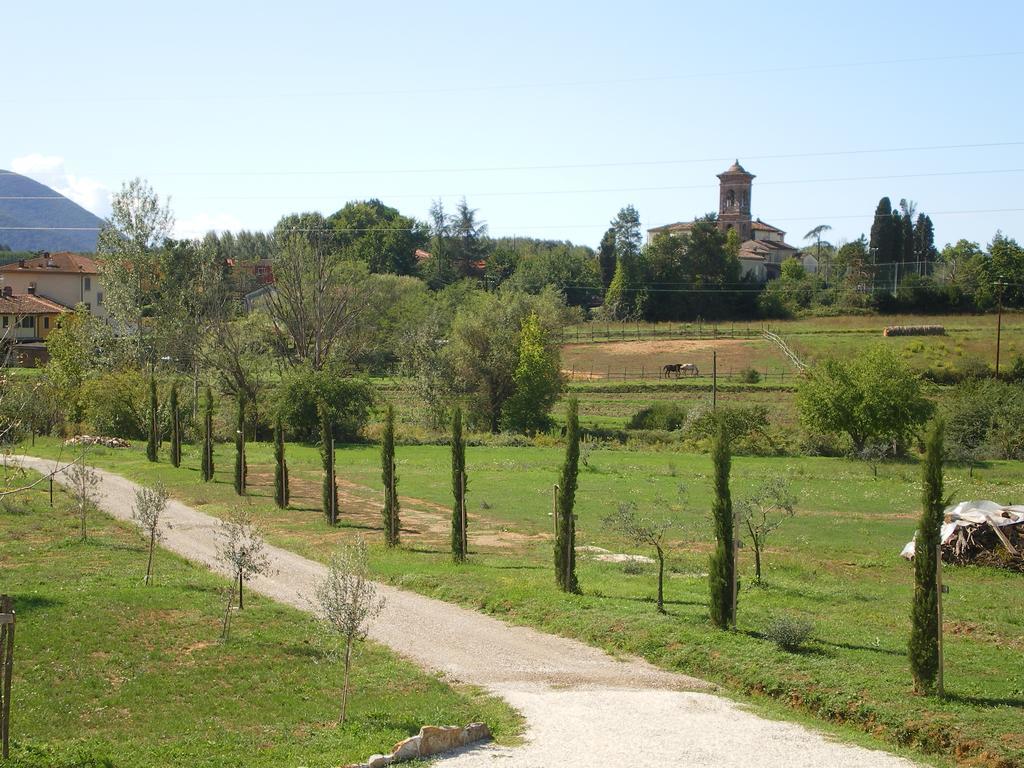 Agriturismo Ai Linchi Лукка Экстерьер фото
